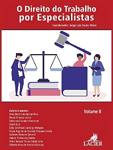 Livro O Direito Do Trabalho Por Especialistas - Vol. Ii