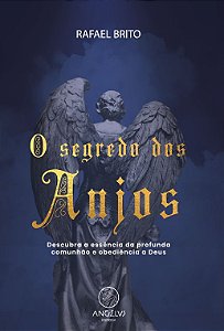 Livro O segredo dos anjos