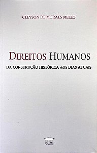 Livro Direitos humanos - Da construção histórica aos dias...