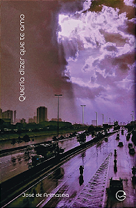 Livro Queria dizer que te amo