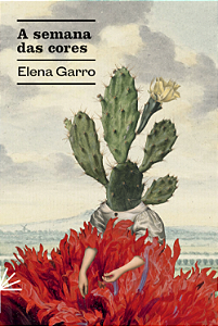 Livro A Semana Das Cores