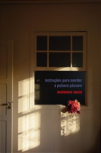 Livro Instruções para morder a palavra pássaro