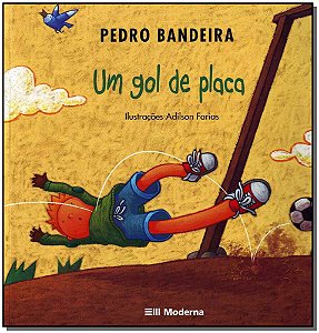 Livro Um Gol De Placa