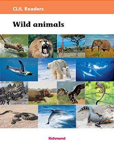 Livro Wild animals