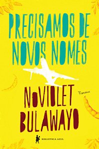 Livro Precisamos de novos nomes