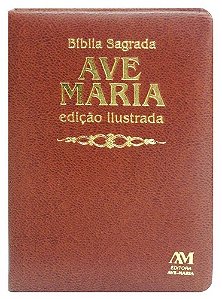 Livro Bíblia edição ilustrada luxo - média - marrom