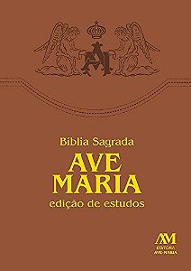Livro Bíblia Sagrada - Edição de estudos