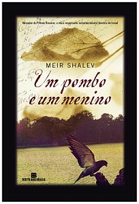 Livro Um pombo e um menino