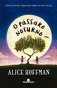 Livro O pássaro noturno