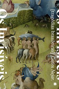 Livro Os invisíveis: Tragédias brasileiras