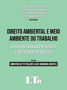 Livro Direito Ambiental E Meio Ambiente Do Trabalho - 01E...