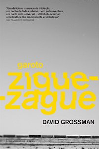 Livro Garoto zigue-zague