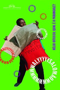 Livro Hélio oiticica: qual é o parangolé?