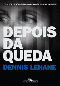 Livro Depois da queda