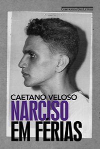 Livro Narciso em férias