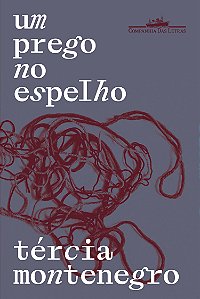 Livro Um Prego No Espelho
