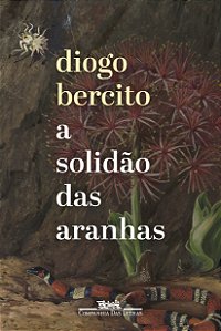 Livro A solidão das aranhas