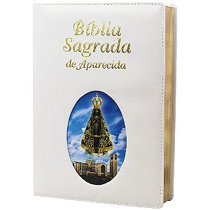 Livro Biblia sagrada de aparecida grande ilustrada preta