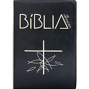 Livro Bíblia De Aparecida - Letra Grande Preta