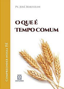 Livro O Que É Tempo Comum