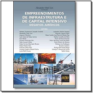 Livro Empreendimentos De Infraestrutura E De Capital Inte...