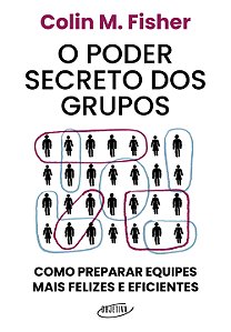 Livro O poder secreto dos grupos: como preparar equipes mais fe...