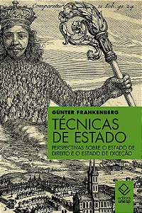 Livro Técnicas de estado: Perspectivas sobre o estado de ...