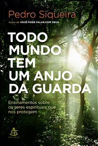 Livro Todo mundo tem um anjo da guarda: Ensinamentos sobr...