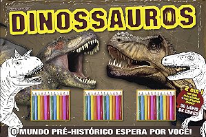 Livro Dinossauros: hora de brincar