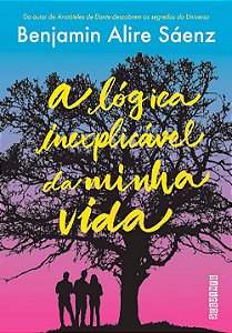 Livro A lógica inexplicável da minha vida