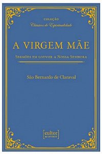 Livro A virgem mãe