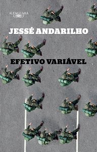Livro Efetivo variável