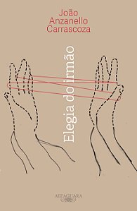 Livro Elegia do irmão