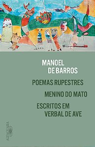 Livro Poemas Rupestres, Menino Do Mato E Escritos Em Verbal De ...