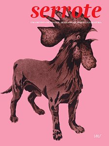 Livro Serrote - Vol. 47