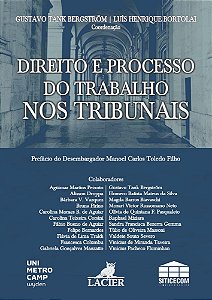 Livro Direito E Processo Do Trabalho Tribunais - 01Ed/24