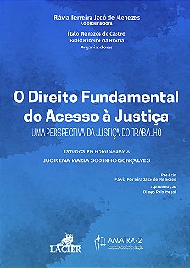 Livro O Direito Fundamental Do Acesso À Justiça - 01Ed/24