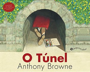 Livro O túnel