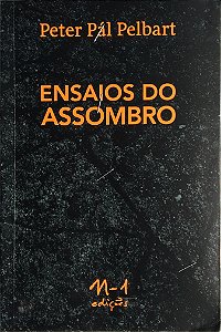 Livro Ensaios do assombro