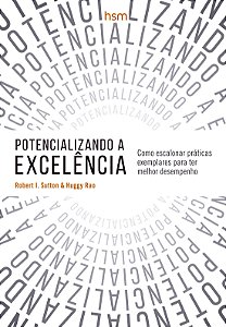 Livro Potencializando A Excelência
