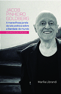 Livro Jacob Pinheiro Goldberg – A maravilhosa janela da tela po...