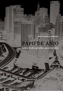 Livro Papo De Anjo