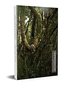 Livro Amuletos de prosa e verso