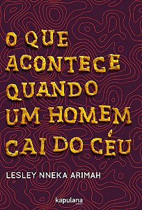 Livro O que acontece quando um homem cai do céu