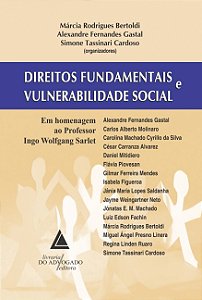 Livro Direitos Fundamentais E Vulnerabilidade Social