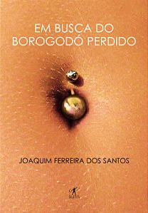 Livro Em busca do borogodó perdido