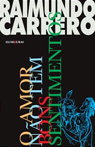 Livro O amor não tem bons sentimentos