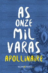 Livro As onze mil varas