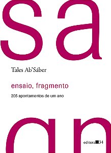 Livro Ensaio, fragmento: 205 apontamentos de um ano
