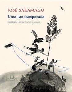 Livro Uma luz inesperada